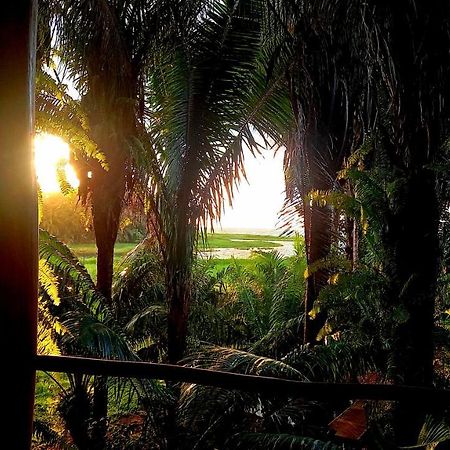 Encanto Lodge Drake Bay Luaran gambar