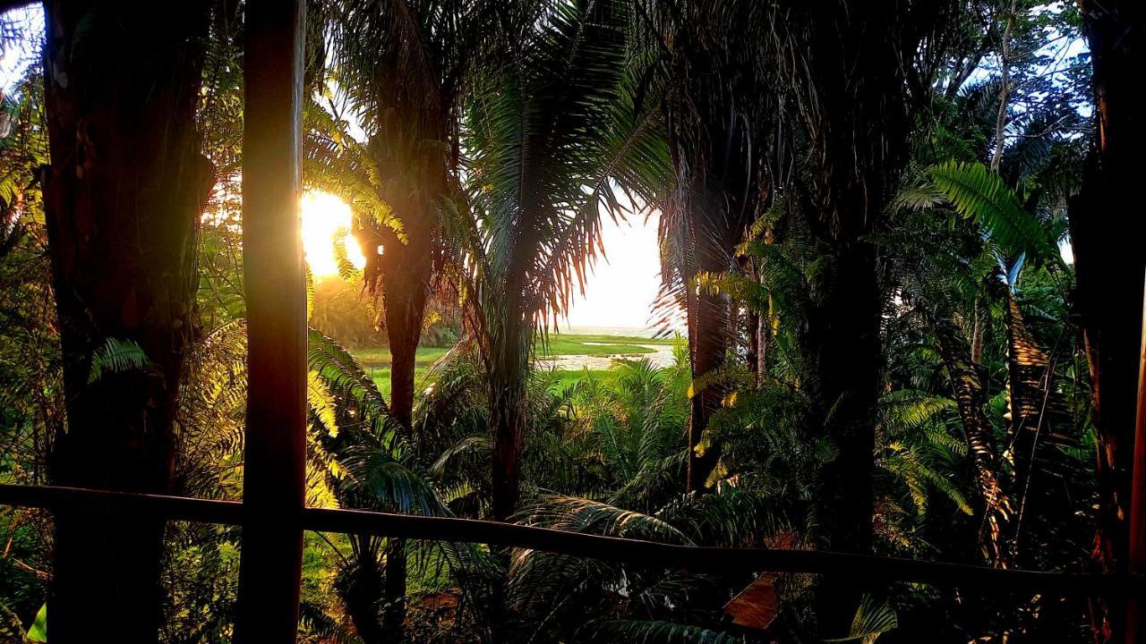 Encanto Lodge Drake Bay Luaran gambar