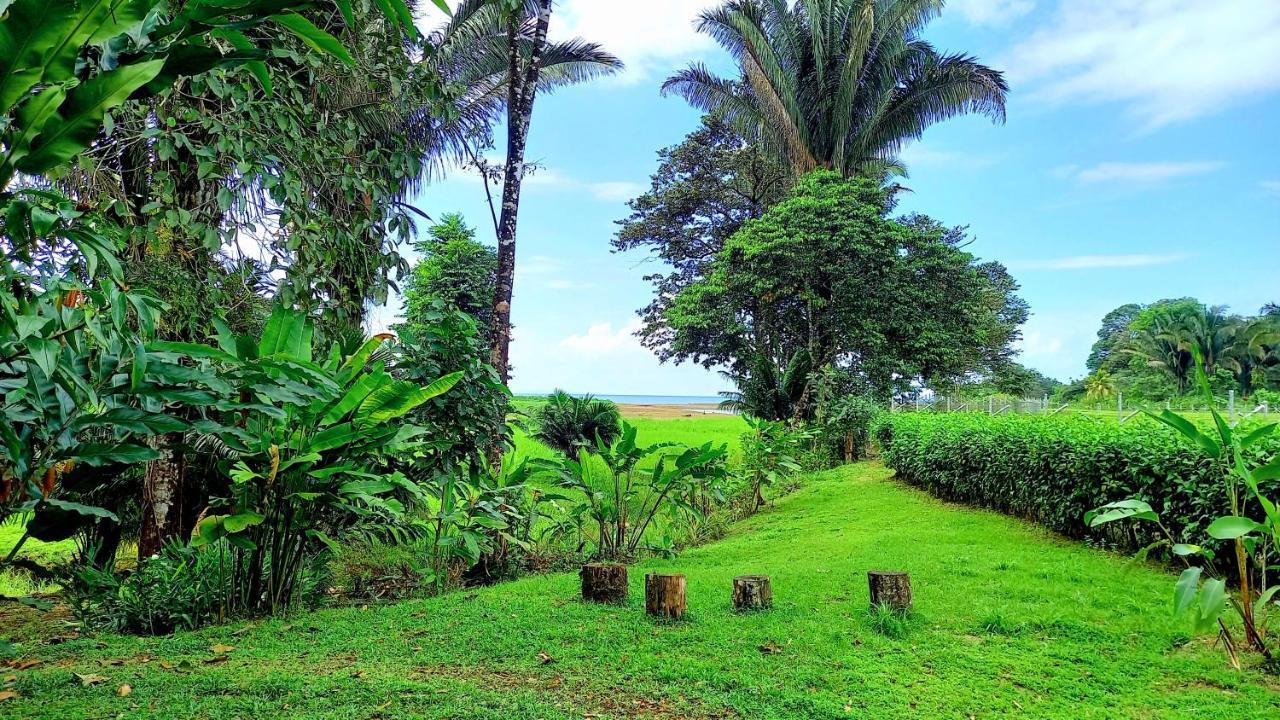 Encanto Lodge Drake Bay Luaran gambar