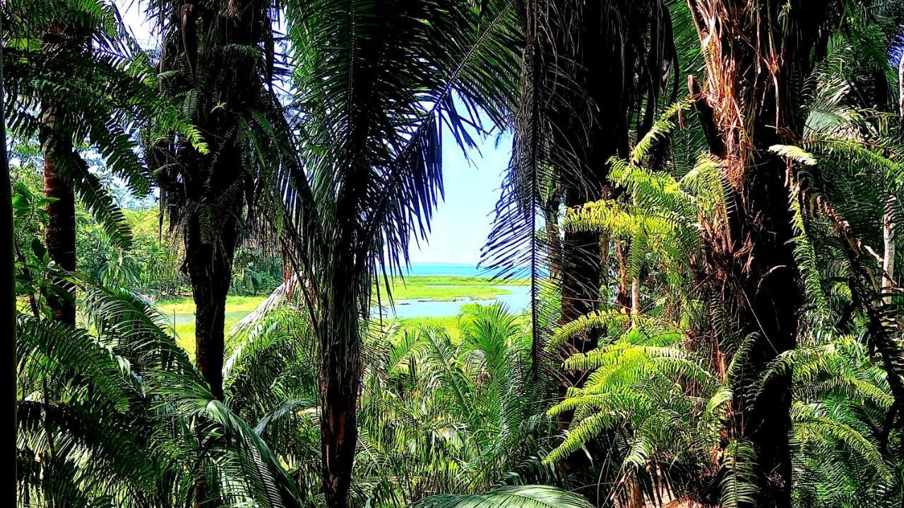 Encanto Lodge Drake Bay Luaran gambar