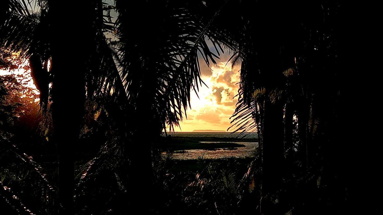 Encanto Lodge Drake Bay Luaran gambar