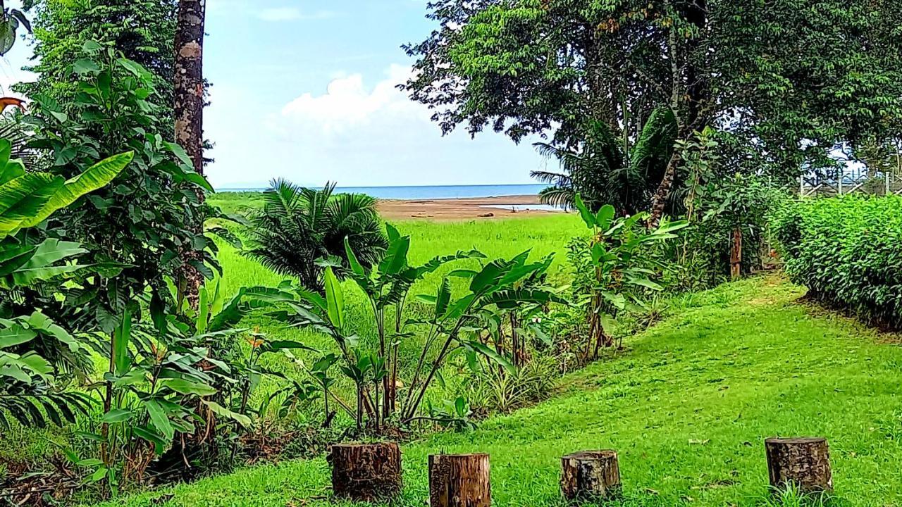 Encanto Lodge Drake Bay Luaran gambar
