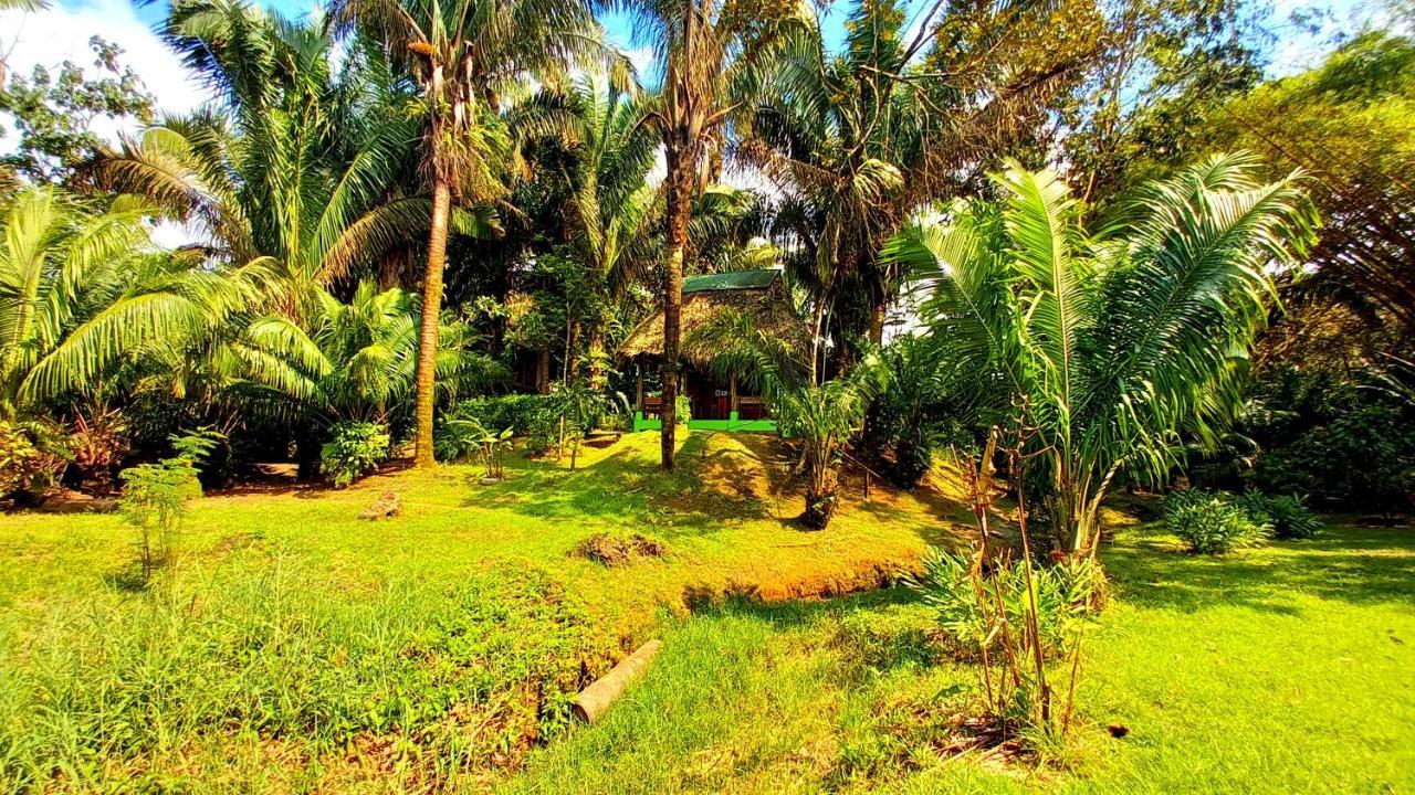 Encanto Lodge Drake Bay Luaran gambar
