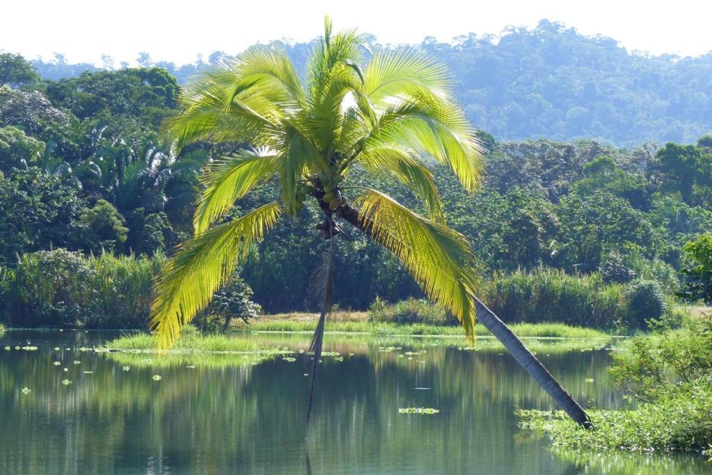 Encanto Lodge Drake Bay Luaran gambar